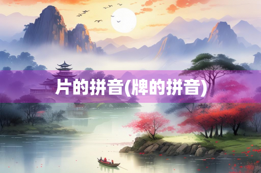 片的拼音(牌的拼音)