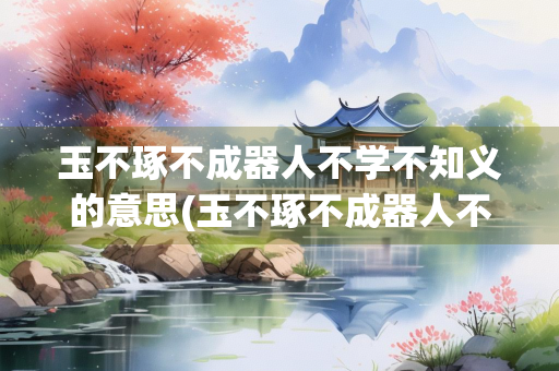 玉不琢不成器人不学不知义的意思(玉不琢不成器人不学不知义的意思是什么呢)