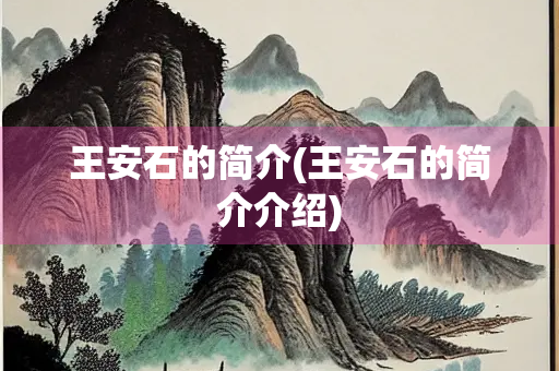 王安石的简介(王安石的简介介绍)