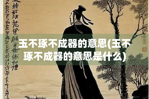 玉不琢不成器的意思(玉不琢不成器的意思是什么)