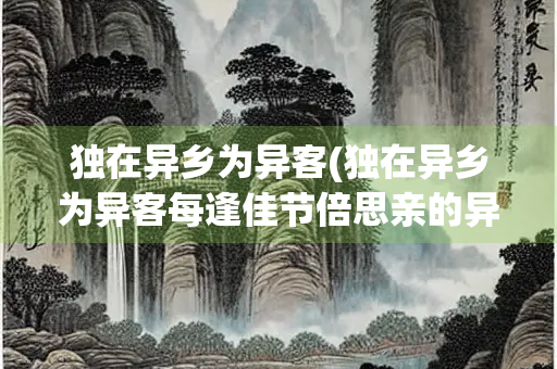 独在异乡为异客(独在异乡为异客每逢佳节倍思亲的异是什么意思)
