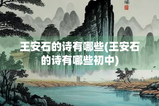 王安石的诗有哪些(王安石的诗有哪些初中)