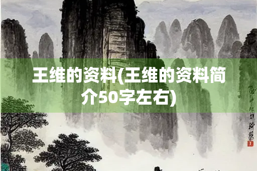 王维的资料(王维的资料简介50字左右)