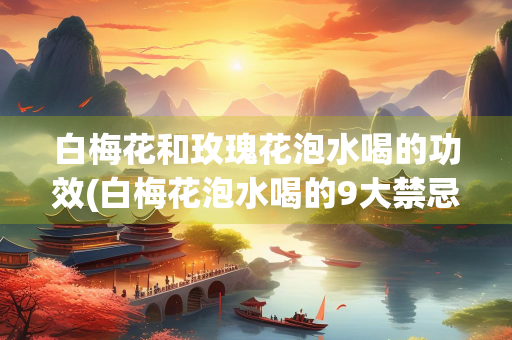 白梅花和玫瑰花泡水喝的功效(白梅花泡水喝的9大禁忌)