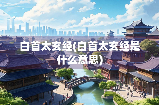 白首太玄经(白首太玄经是什么意思)