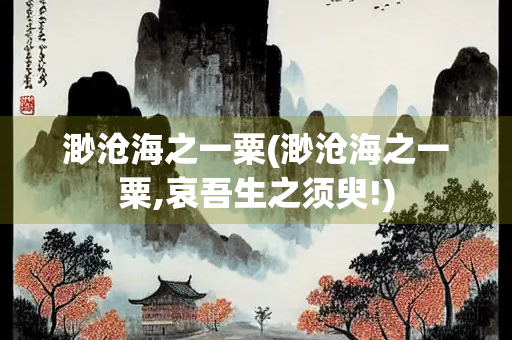 渺沧海之一粟(渺沧海之一粟,哀吾生之须臾!)
