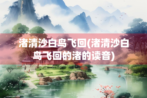 渚清沙白鸟飞回(渚清沙白鸟飞回的渚的读音) 渚清沙白鸟飞回(渚清沙白鸟飞回的渚的读音)