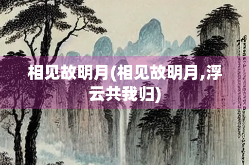 相见故明月(相见故明月,浮云共我归)