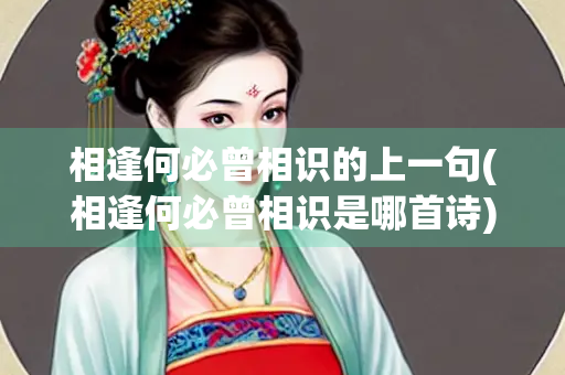 相逢何必曾相识的上一句(相逢何必曾相识是哪首诗)