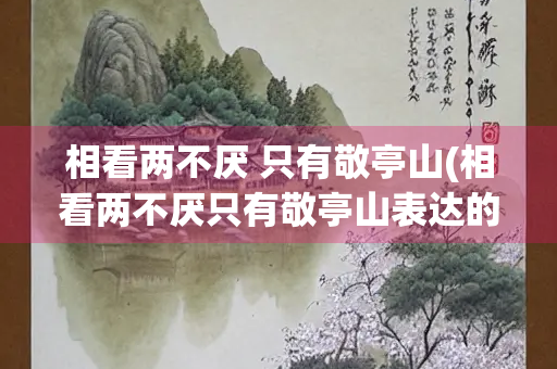 相看两不厌 只有敬亭山(相看两不厌只有敬亭山表达的情感)
