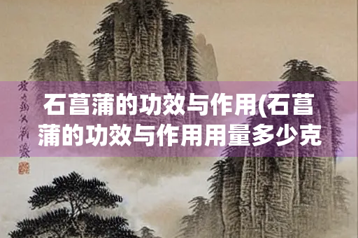 石菖蒲的功效与作用(石菖蒲的功效与作用用量多少克)