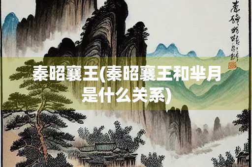 秦昭襄王(秦昭襄王和芈月是什么关系)
