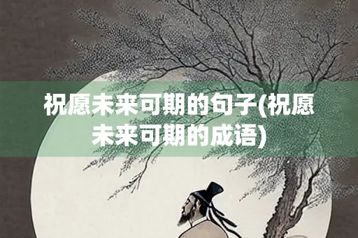祝愿未来可期的句子(祝愿未来可期的成语)