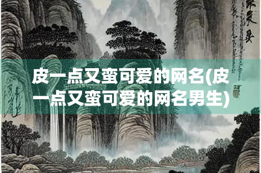 皮一点又蛮可爱的网名(皮一点又蛮可爱的网名男生)