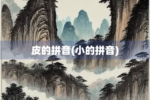 皮的拼音(小的拼音)