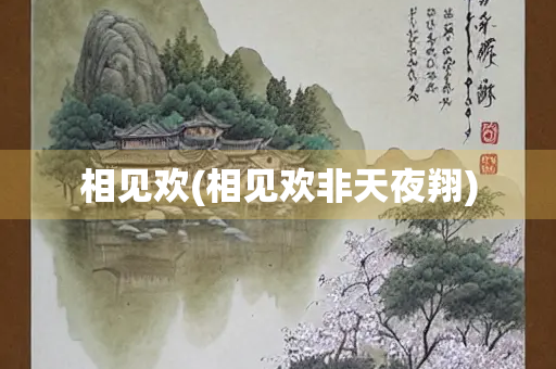 相见欢(相见欢非天夜翔)