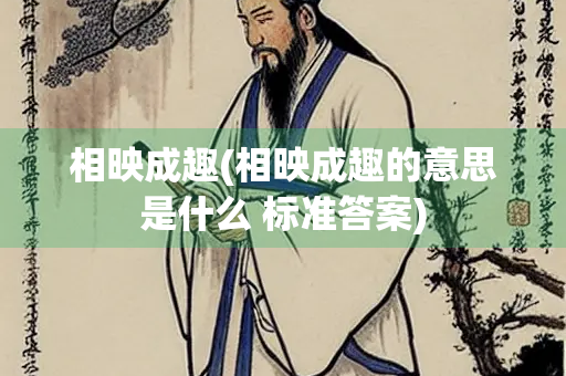 相映成趣(相映成趣的意思是什么 标准答案)