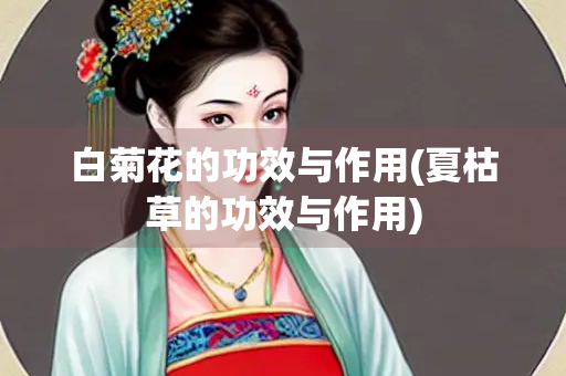 白菊花的功效与作用(夏枯草的功效与作用)