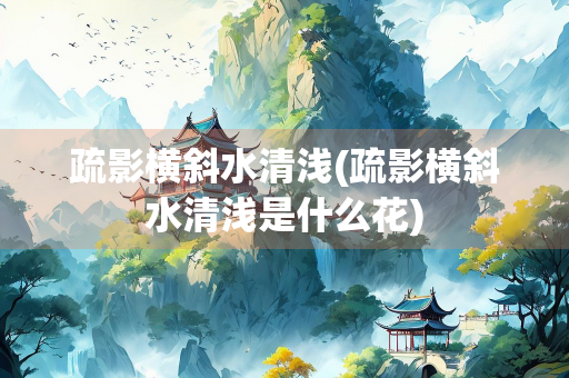 疏影横斜水清浅(疏影横斜水清浅是什么花)