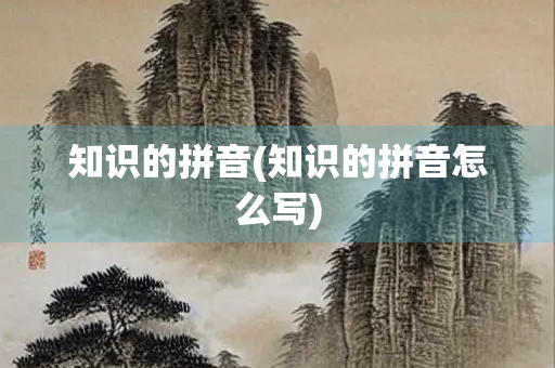 知识的拼音(知识的拼音怎么写)
