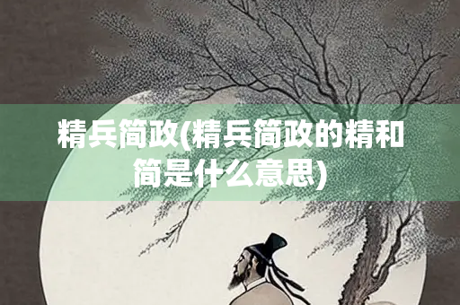 精兵简政(精兵简政的精和简是什么意思)