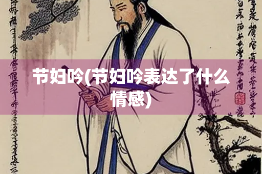 节妇吟(节妇吟表达了什么情感)