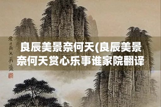 良辰美景奈何天(良辰美景奈何天赏心乐事谁家院翻译)