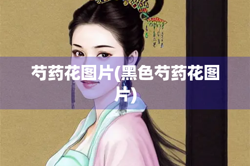 芍药花图片(黑色芍药花图片)