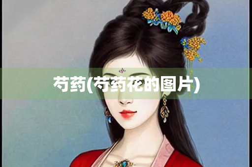 芍药(芍药花的图片)