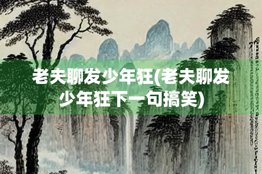 老夫聊发少年狂(老夫聊发少年狂下一句搞笑)
