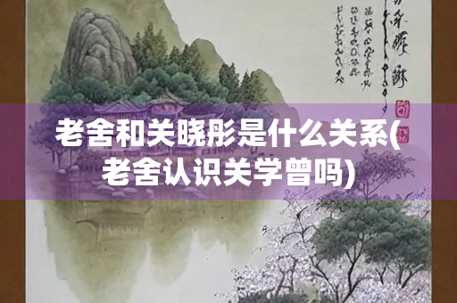 老舍和关晓彤是什么关系(老舍认识关学曾吗)