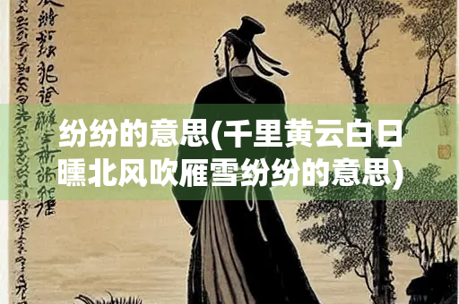纷纷的意思(千里黄云白日曛北风吹雁雪纷纷的意思)