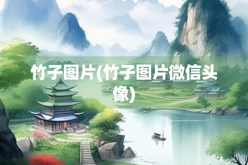 竹子图片(竹子图片微信头像)