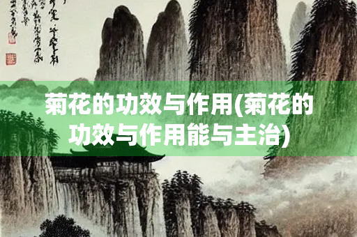 菊花的功效与作用(菊花的功效与作用能与主治)