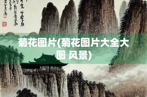 菊花图片(菊花图片大全大图 风景)