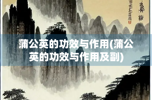 蒲公英的功效与作用(蒲公英的功效与作用及副)