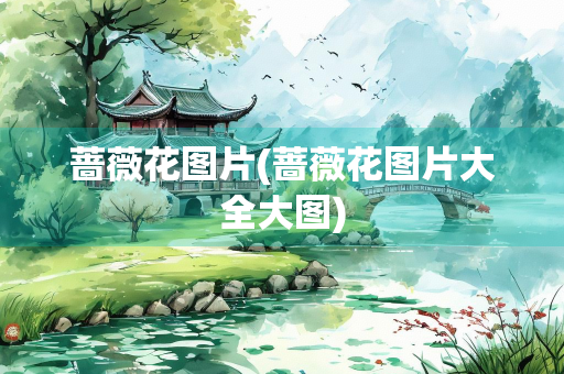 蔷薇花图片(蔷薇花图片大全大图)