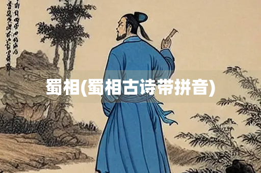 蜀相(蜀相古诗带拼音)