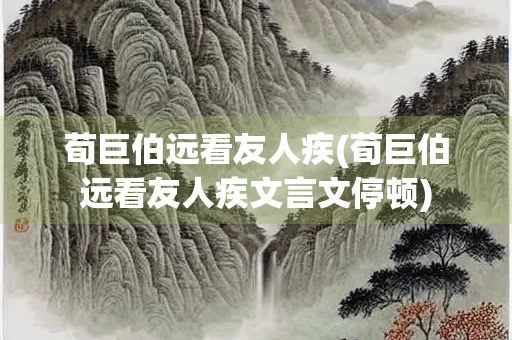 荀巨伯远看友人疾(荀巨伯远看友人疾文言文停顿)