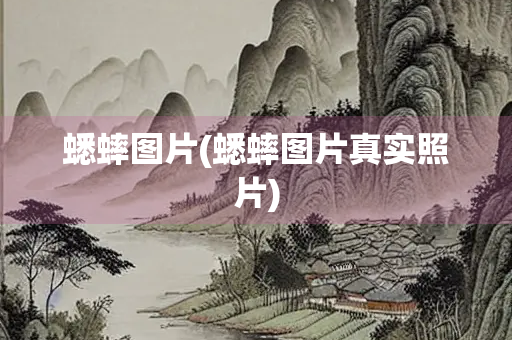 蟋蟀图片(蟋蟀图片真实照片)