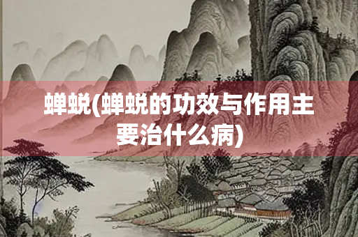 蝉蜕(蝉蜕的功效与作用主要治什么病)