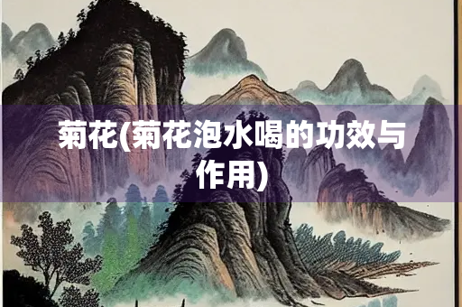 菊花(菊花泡水喝的功效与作用)