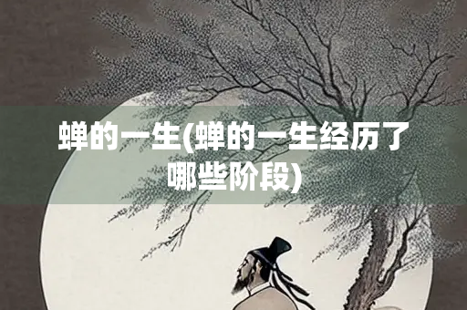 蝉的一生(蝉的一生经历了哪些阶段)