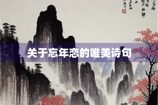 关于忘年恋的唯美诗句