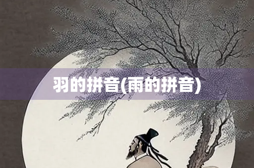 羽的拼音(雨的拼音)