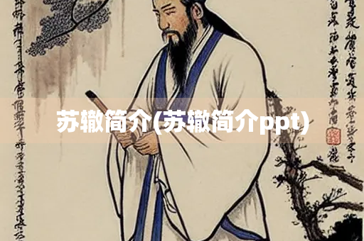 苏辙简介(苏辙简介ppt)