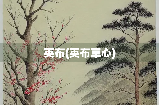 英布(英布草心) 英布(英布草心)
