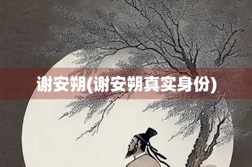 谢安朔(谢安朔真实身份)