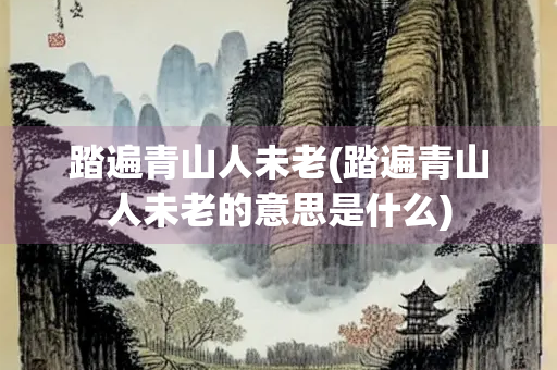 踏遍青山人未老(踏遍青山人未老的意思是什么)