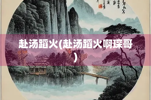 赴汤蹈火(赴汤蹈火啊琛哥)